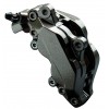 Carbon Blank Foliatec Kalibermaling 2170